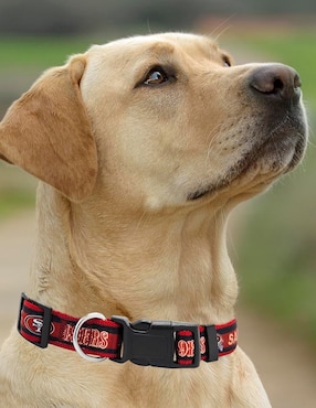 Collar NFL para perro