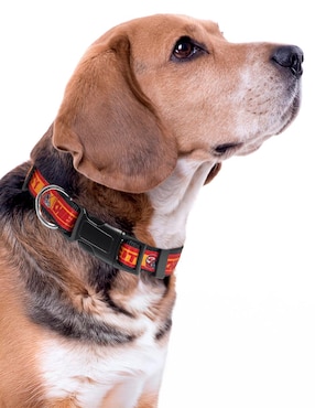 Collar NFL para perro