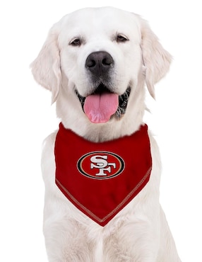 Pañuelo para perro Nfl San Francisco 49ers