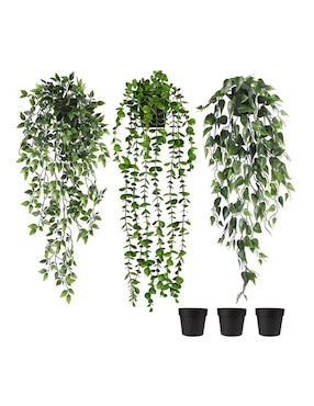 Planta colgante geranio natural Lab.G