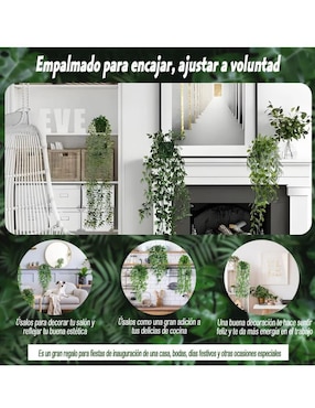 Planta colgante geranio natural Lab.G