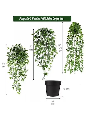 Planta colgante geranio natural Lab.G