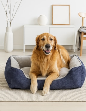 Cama para perro Zoopet