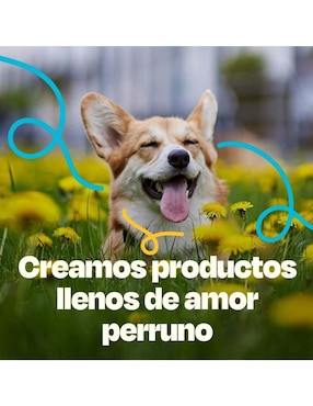 Suplemento alimenticio mascota para hidratar Dogelthy