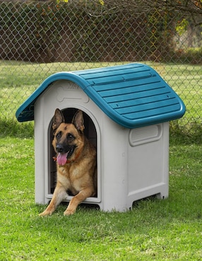 Casa para perro Mq