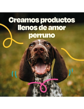 Suplemento alimenticio para mascota gastrointestinal Dogelthy