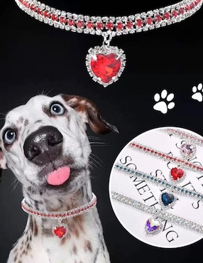 Collar decorativo para mascota Maypet