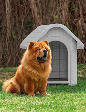 Casa para perro Mq