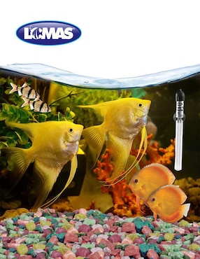 Calentador para pecera Lomas de 50 W