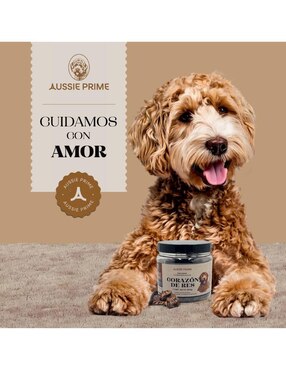 Calmante para mascota Aussie Prime de carne para perro contenido Premios de Corazon de Res Deshidratado 250 g
