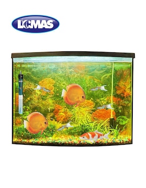 Calentador para pecera Lomas de 250 w