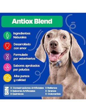 Suplemento alimenticio para mascota vitamínico Dogelthy