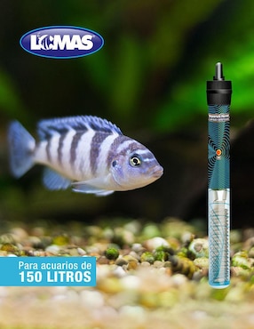 Calentador para pecera Lomas de 150 W