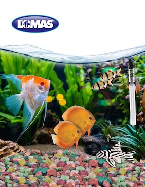 Calentador para pecera Lomas de 40 W