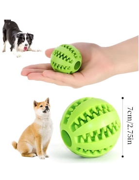 Pelota para perro Xtellar