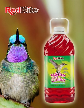 Néctar Redkite de néctar para colibri todas las etapas contenido 1 pieza 3.6 kg