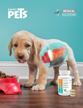 Suplemento alimenticio para mascota probiótico Medical Solutions