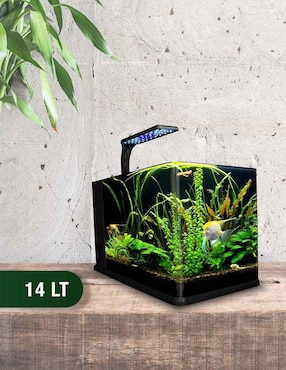 Pecera de vidrio 15 litros Lomas