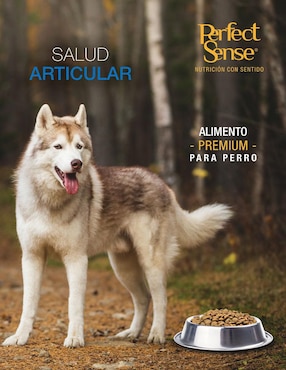 Croqueta Perfect Sense de pollo para perro etapa adulto contenido 3 kg