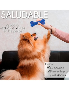 Juguete para perro Xtellar