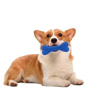 Juguete para perro Xtellar