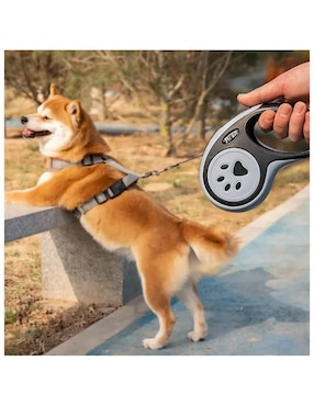 Correa extensible Lab.G para perro