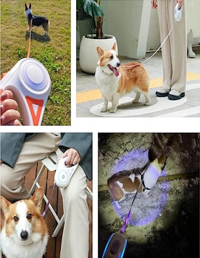 Correa extensible Belug para perro