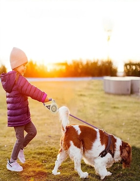 Correa extensible Belug para perro