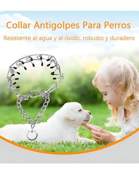 Collar Xtellar para perro