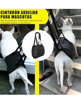 Mochila para mascota Xtellar