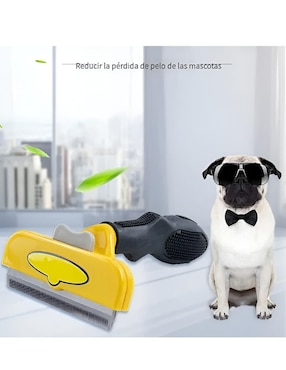 Carda Xtellar para perro y gato