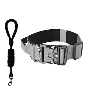 Correa y collar Xtellar para perro