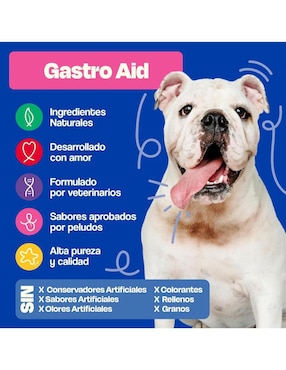 Suplemento alimenticio para mascota probiótico Dogelthy
