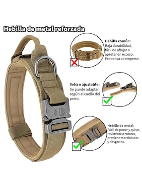 Collar de cabeza Xtellar para perro