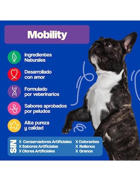 Suplemento alimenticio para mascota Vitamínico Dogelthy