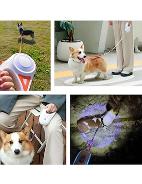 Correa extensible Xtellar para perro
