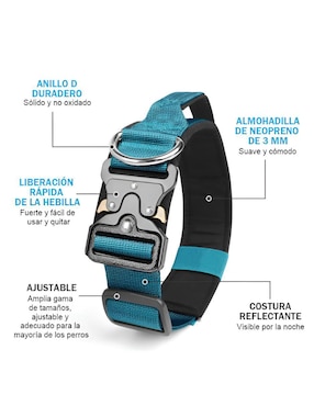 Collar de cabeza Xtellar para perro
