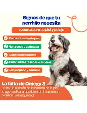 Kit de bienestar para mascota Dogelthy