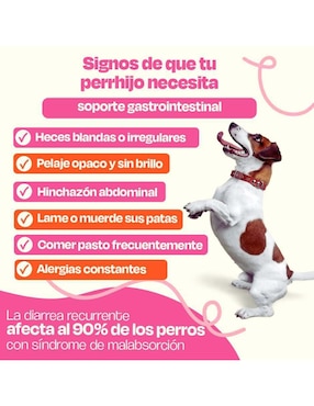 Kit de bienestar para mascota Dogelthy