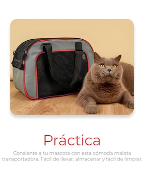 Mochila para mascota Xtellar
