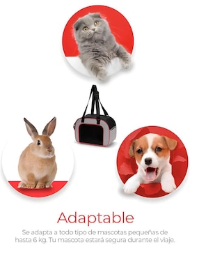Mochila para mascota Xtellar