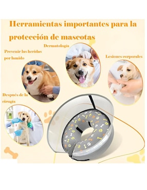 Collar Isabelino Xtellar para perro