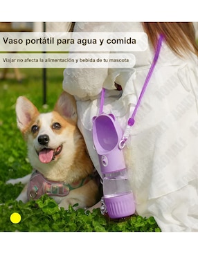 Bebedero transparente para perro y gato Xtellar 450 ml