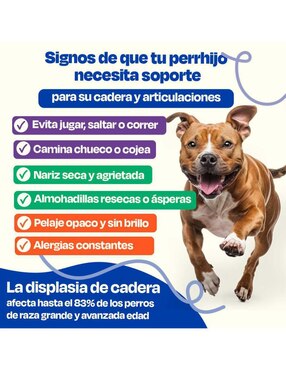 Kit de bienestar para mascota Dogelthy