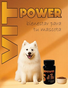 Tabletas vitamínicas Factor Pn