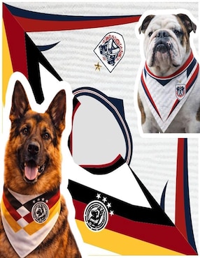 Pañuelo para mascota Mi Pañuelo Mundial