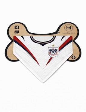 Pañuelo para mascota Mi Pañuelo Mundial