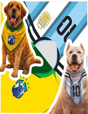 Pañuelo para mascota Mi Pañuelo Mundial