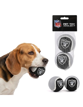 Pelota para perro NFL Raiders