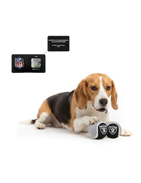 Pelota para perro NFL Raiders
